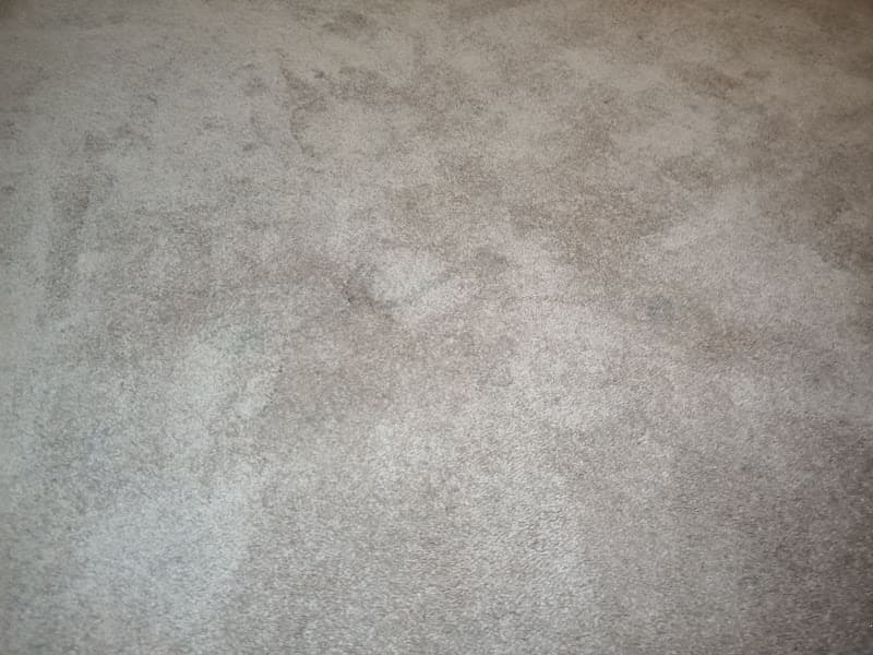 Davali ChemDry carpet cleaning work in Penrith