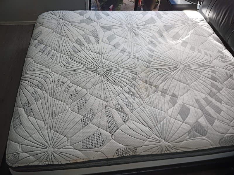 Davali ChemDry carpet cleaning work in Penrith