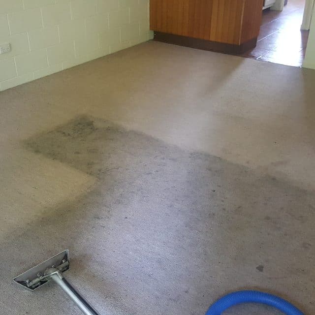 Dave's Extreme Bond and Carpet Cleaning carpet cleaning work in Cranbrook