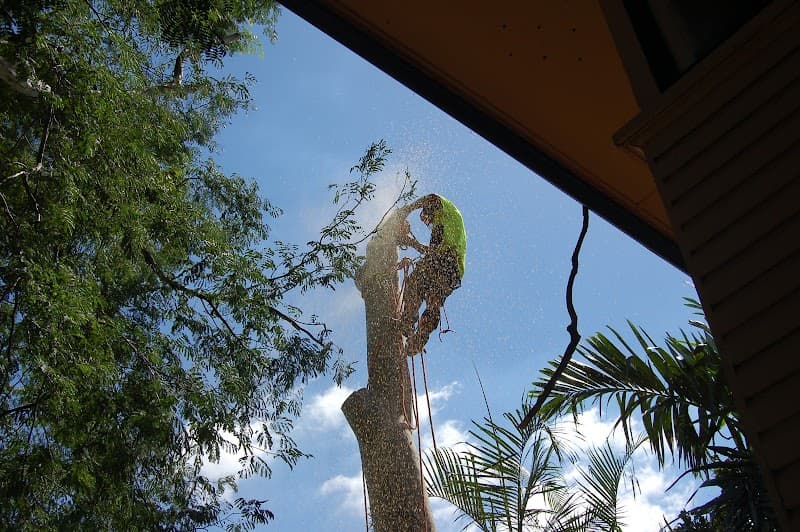 Dazza's Tree Services tree services work in Willowbank