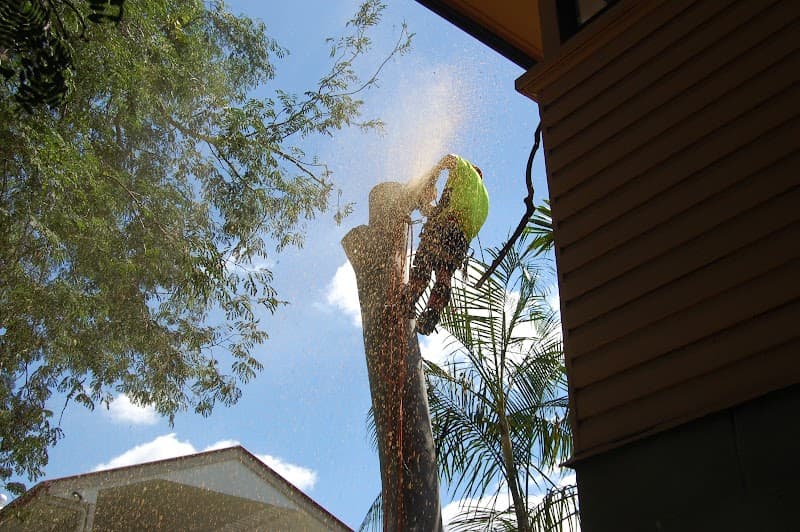 Dazza's Tree Services tree services work in Willowbank