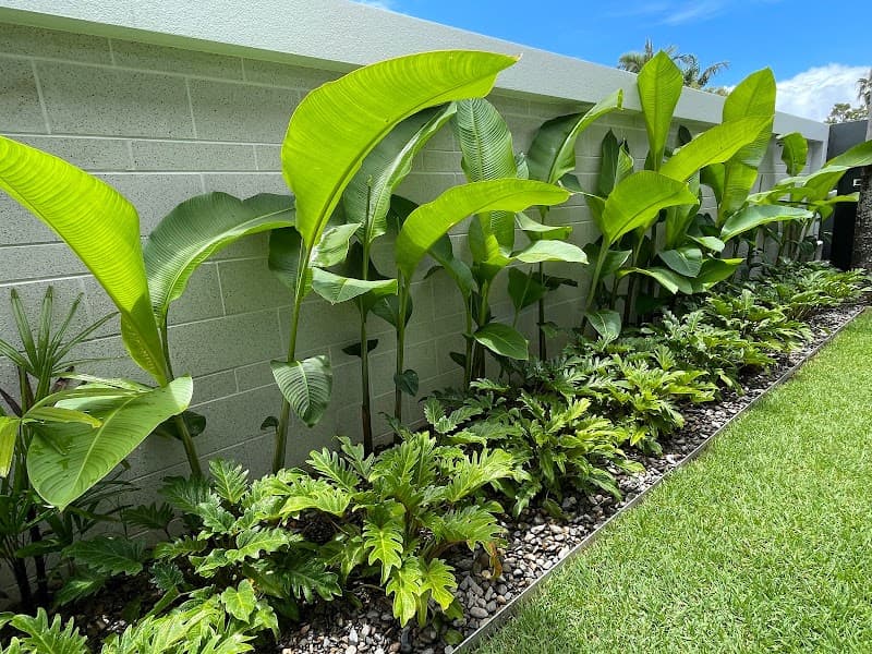 DCM Landscaping landscaping work in Teneriffe