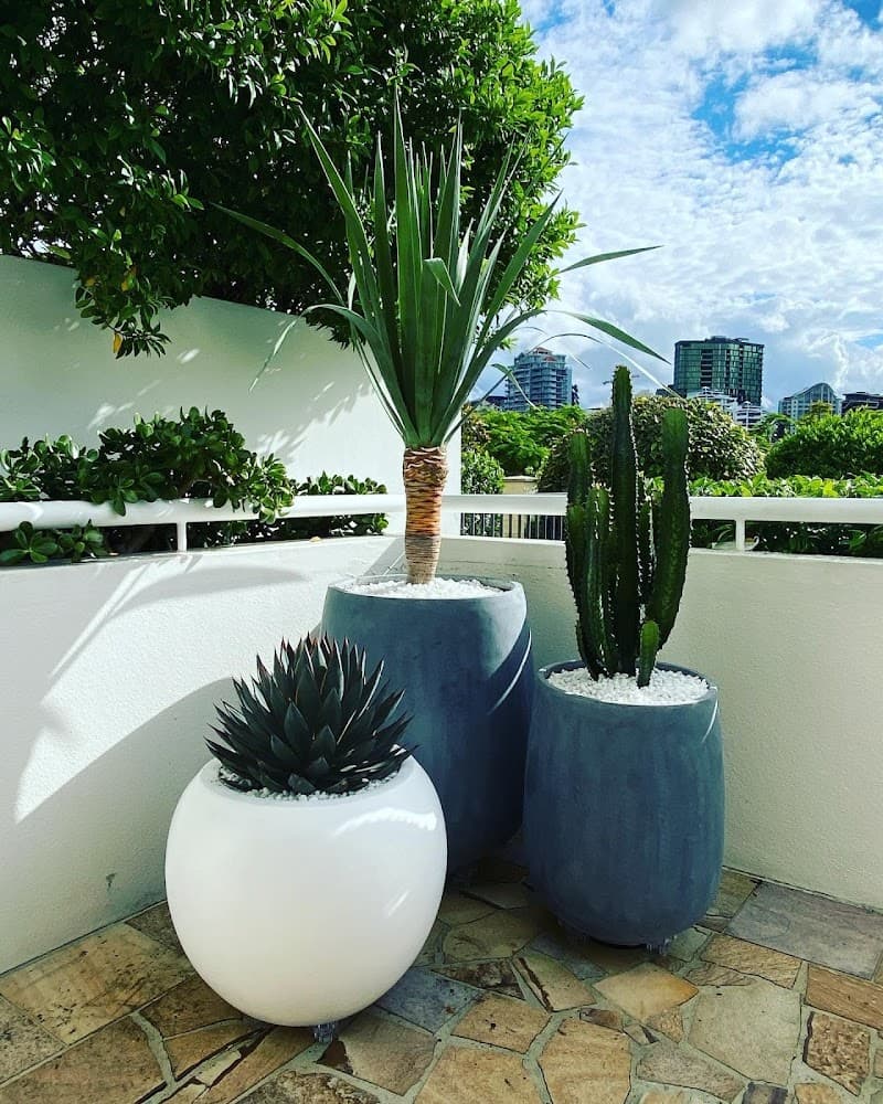 DCM Landscaping landscaping work in Teneriffe