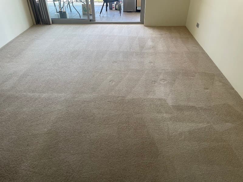DD Carpet Cleaning Perth carpet cleaning work in Queens Park