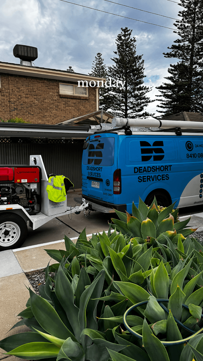 Deadshort Services handyman work in Thebarton