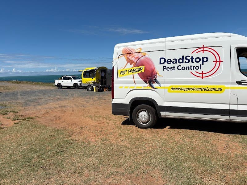 Deadstop Pest Control pest control work in Rural View