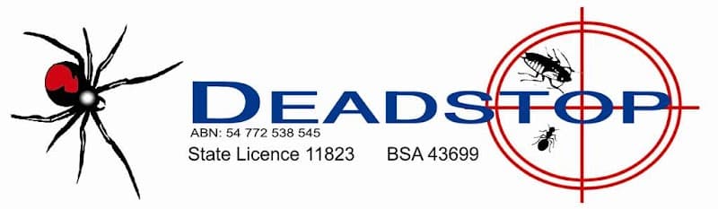 Deadstop Pest Control pest control work in Rural View