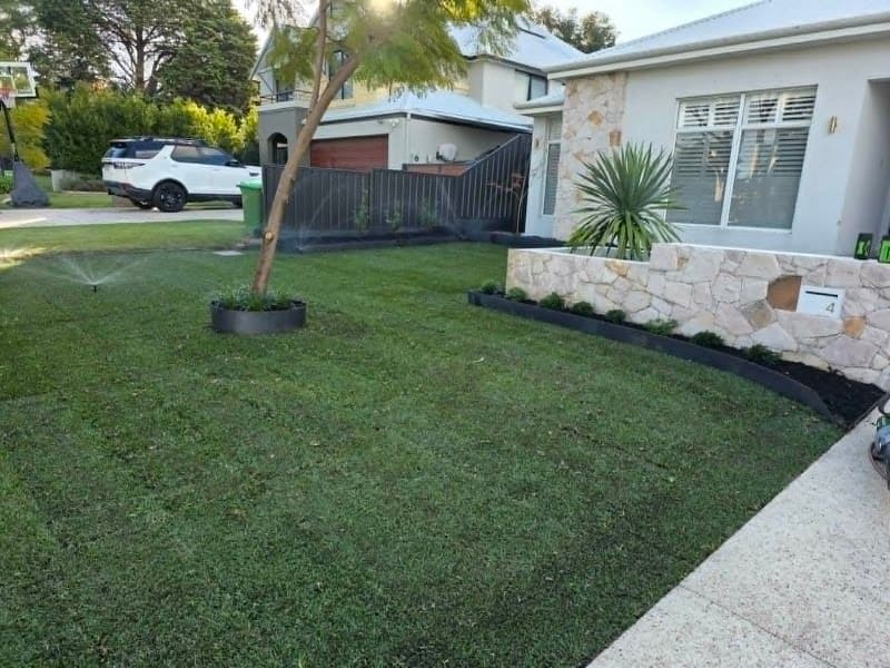 Dee Why Yards gardening work in Dee Why