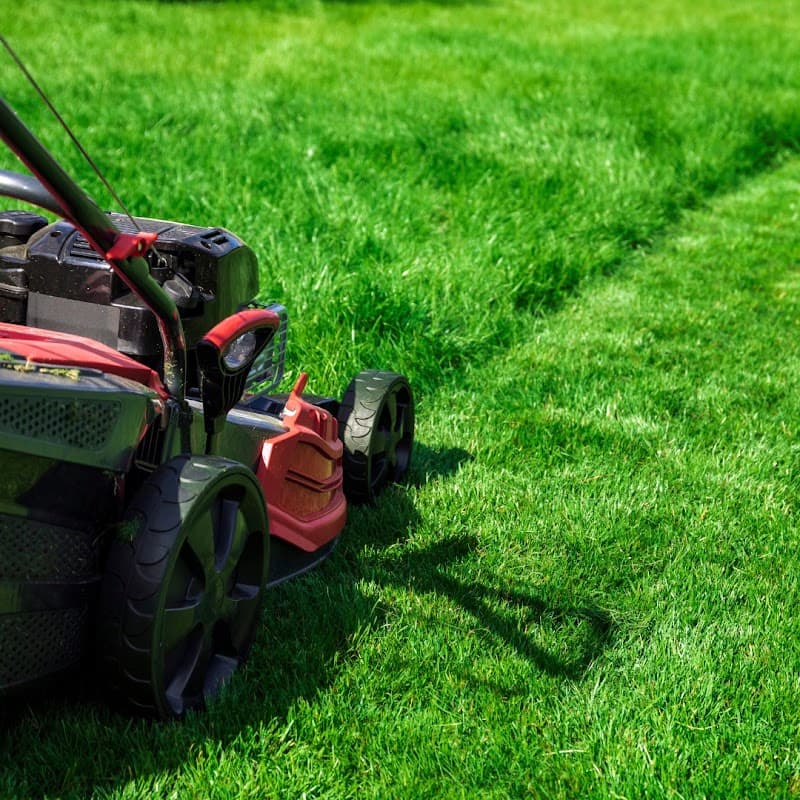 Dee Why Yards gardening work in Dee Why
