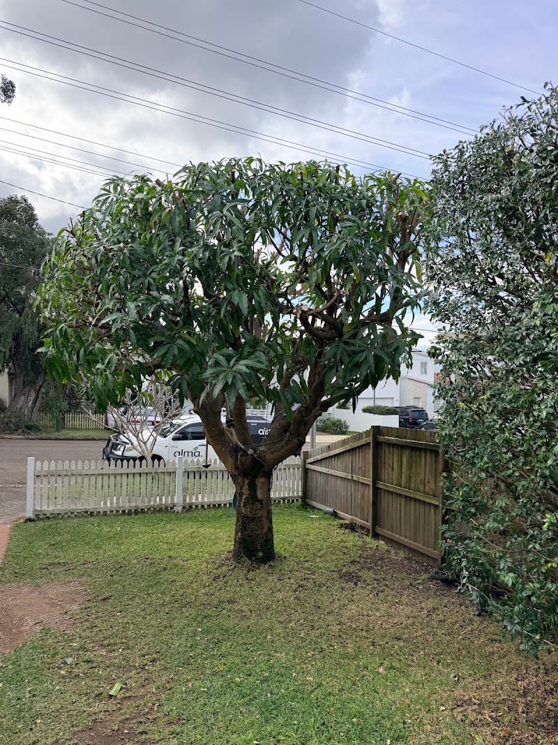 Dee Why Yards gardening work in Dee Why