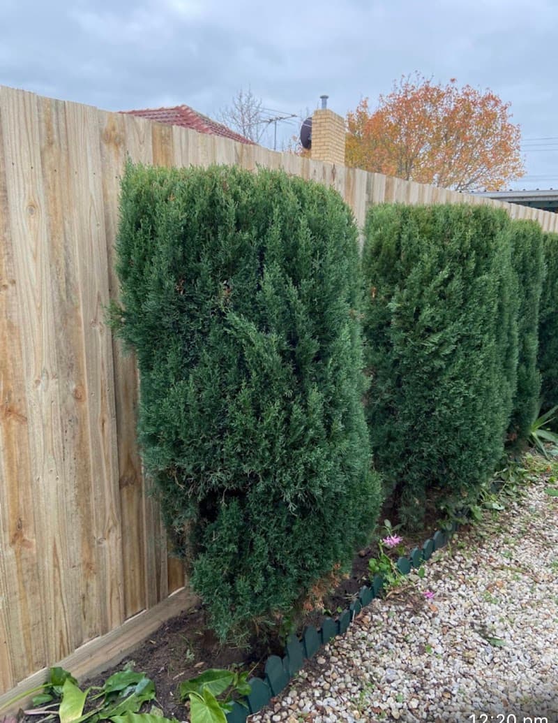 DEEP FENCING fencing work in Cranbourne East