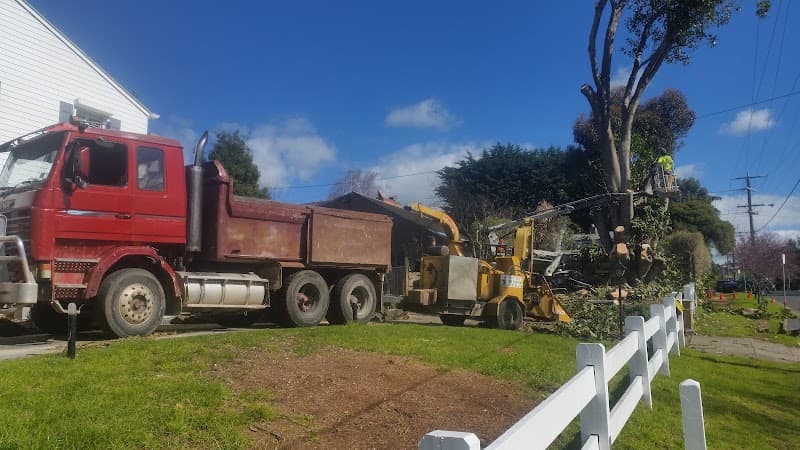 Demolition geelong demolition work in Newcomb