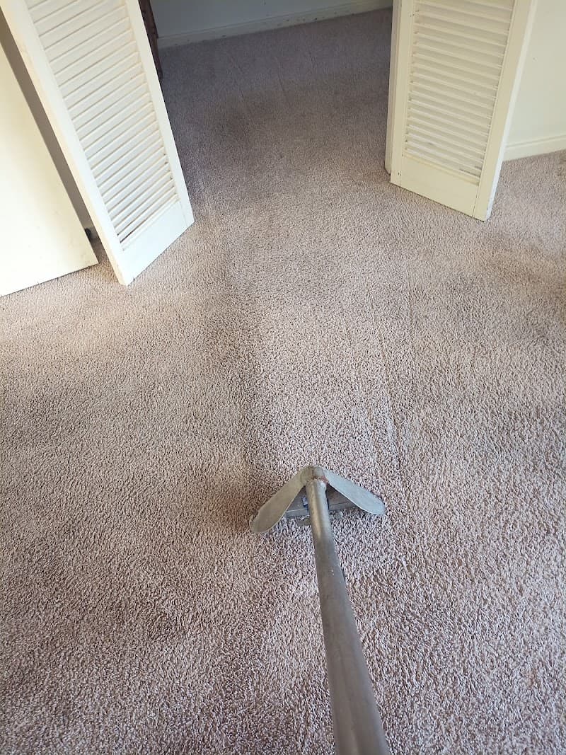 Derek Jeanneret Carpet Cleaning carpet cleaning work in Warriewood