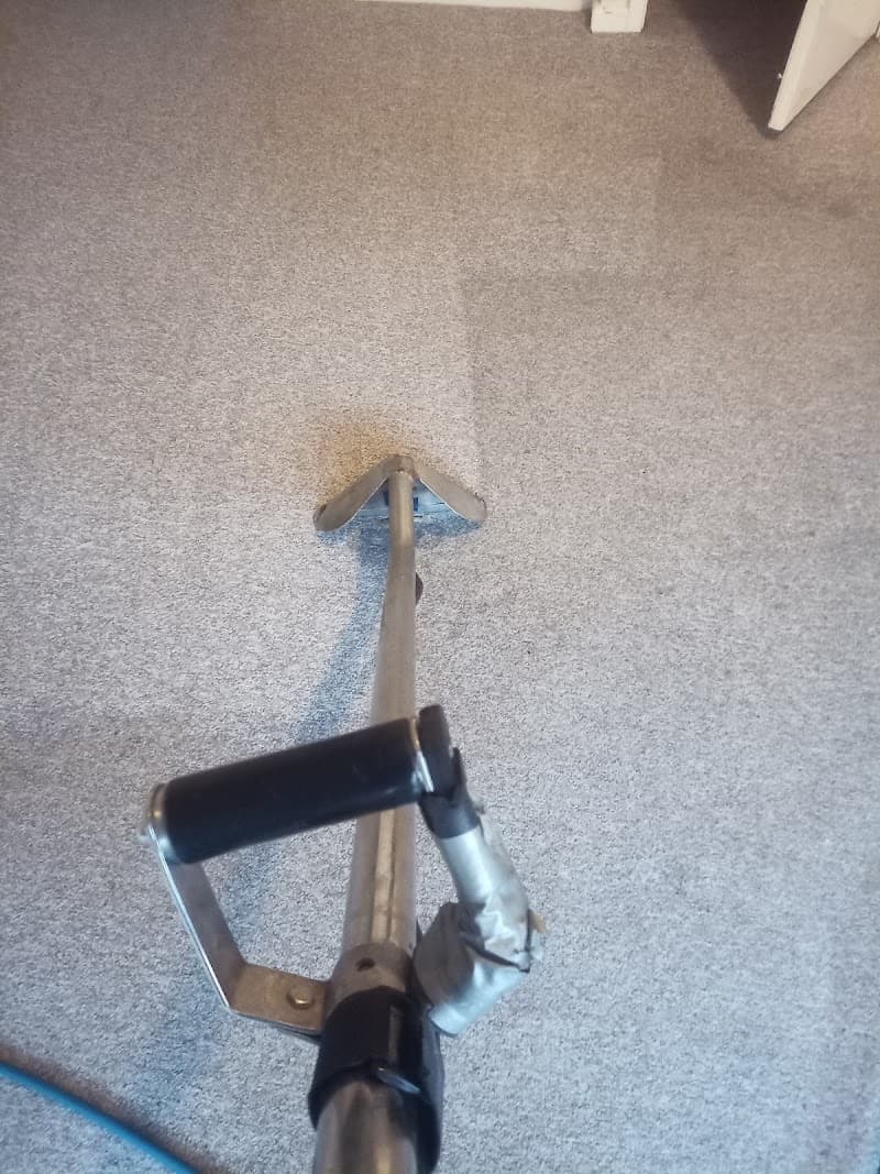 Derek Jeanneret Carpet Cleaning carpet cleaning work in Warriewood