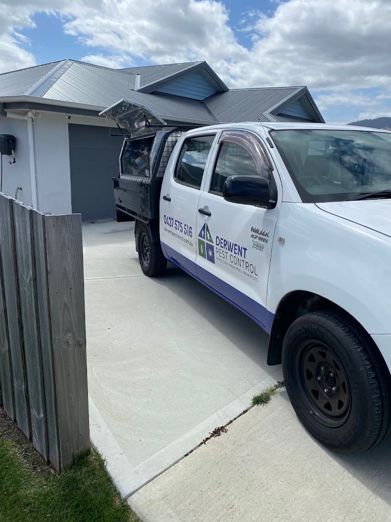 Derwent Pest Control pest control work in Rosetta