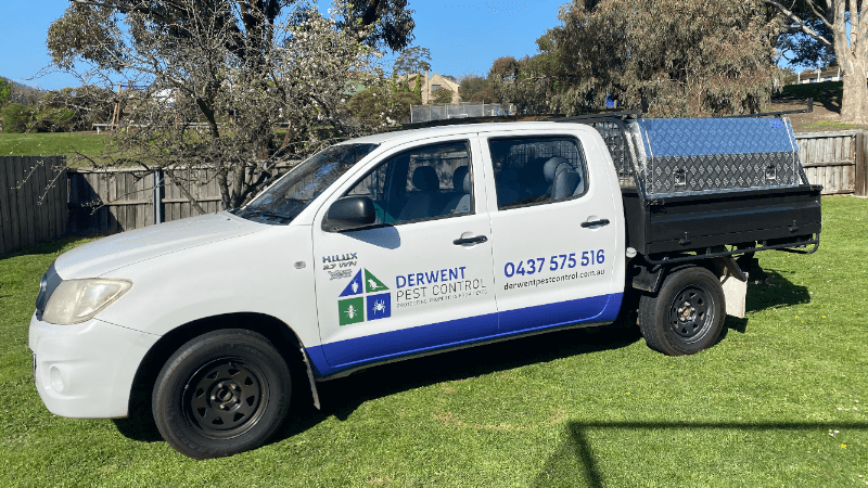 Derwent Pest Control pest control work in Rosetta