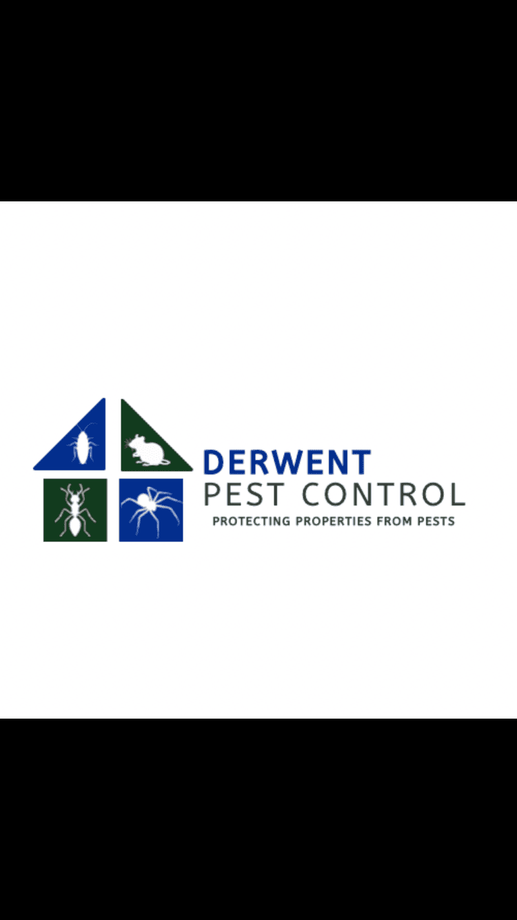 Derwent Pest Control pest control work in Rosetta