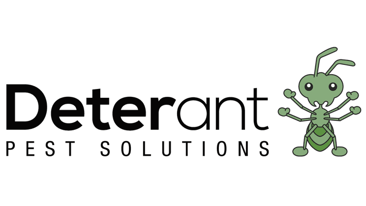 Deterant Pest Solutions pest control work in North Adelaide