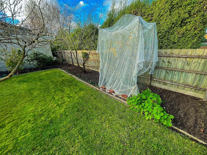 DGardeners - Professional Gardening Services gardening work in Seaford