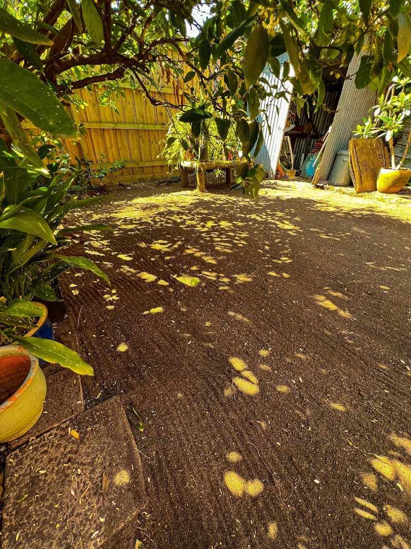 DGardeners - Professional Gardening Services gardening work in Seaford