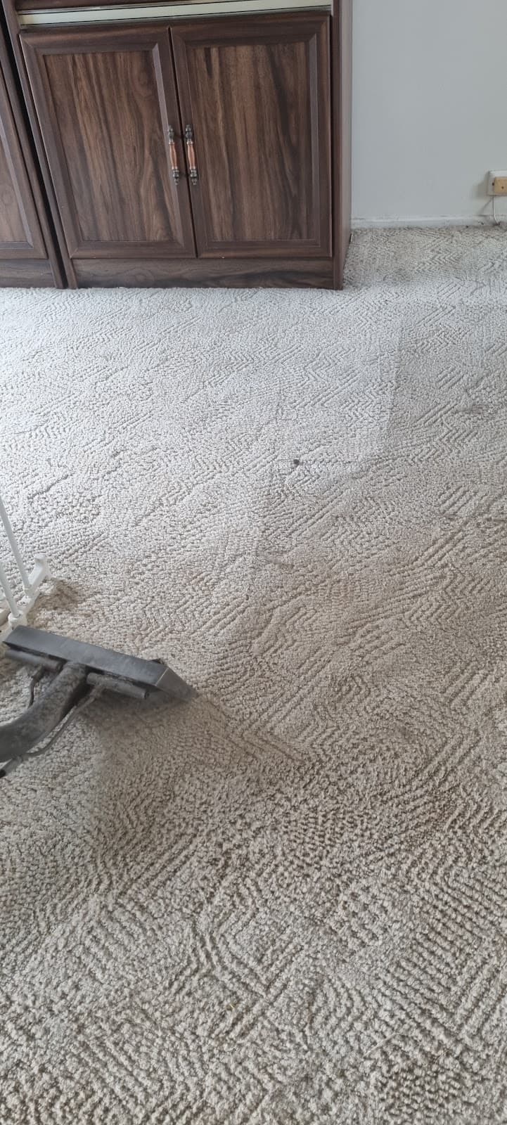 Dial a Carpet Cleaner & Pest Control carpet cleaning work in Mount Pleasant
