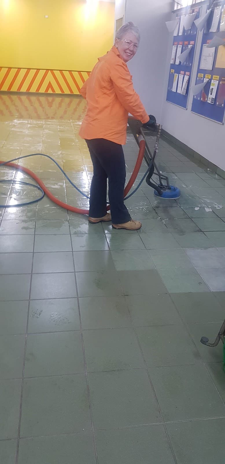 Dial a Carpet Cleaner & Pest Control carpet cleaning work in Mount Pleasant