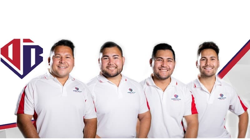 Diamond Brothers Painting painter work in Coorparoo