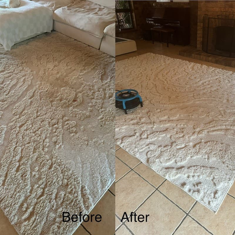 Diamond Carpet Cleaning carpet cleaning work in Rockhampton City