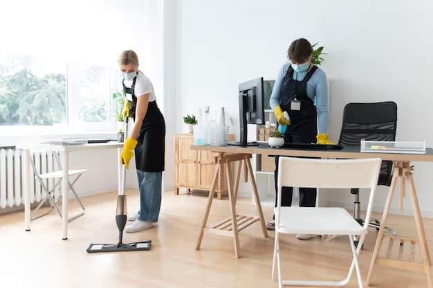 Diamond cleaners carpet cleaning work in Devonport