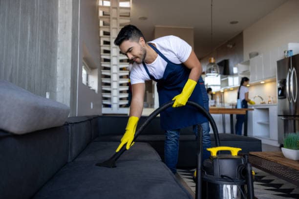 Diamond cleaners carpet cleaning work in Devonport