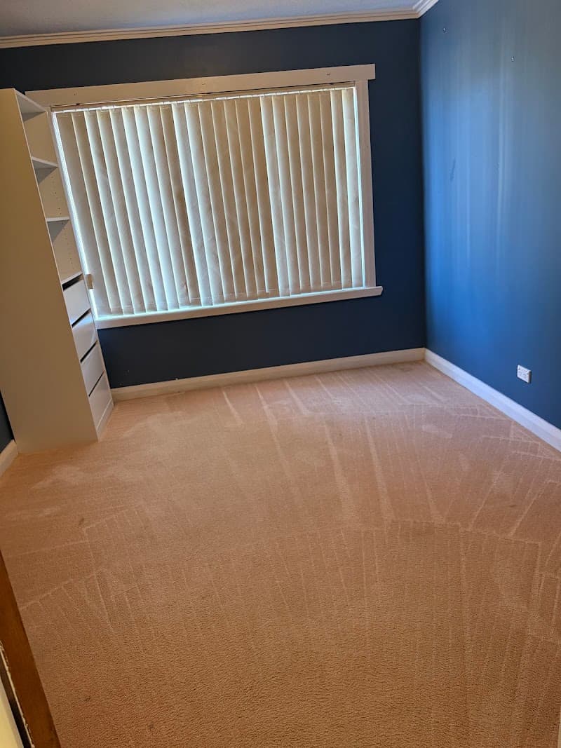 Diamond cleaners carpet cleaning work in Devonport