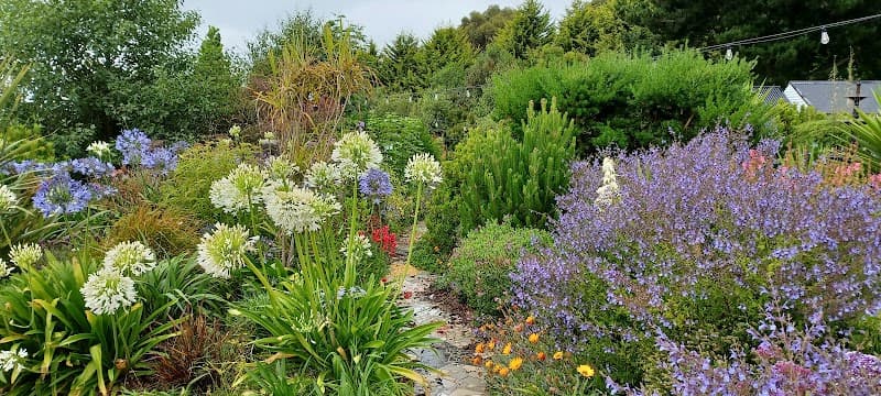 Dig This Landscape Garden Supplies landscaping work in Devonport