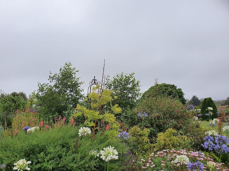 Dig This Landscape Garden Supplies landscaping work in Devonport