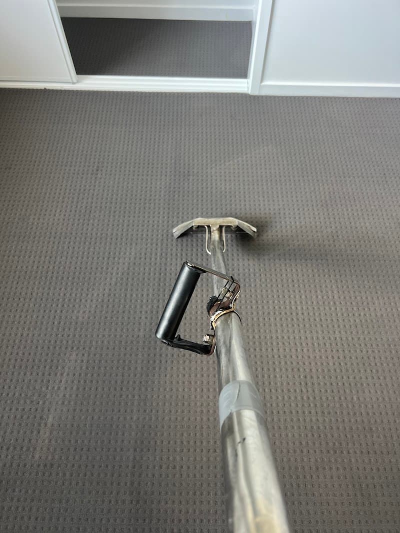 Dinnos Carpet Cleaning and Pest Control carpet cleaning work in null