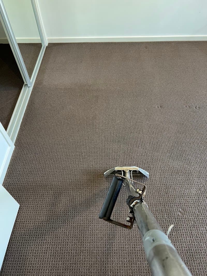 Dinnos Carpet Cleaning and Pest Control carpet cleaning work in null