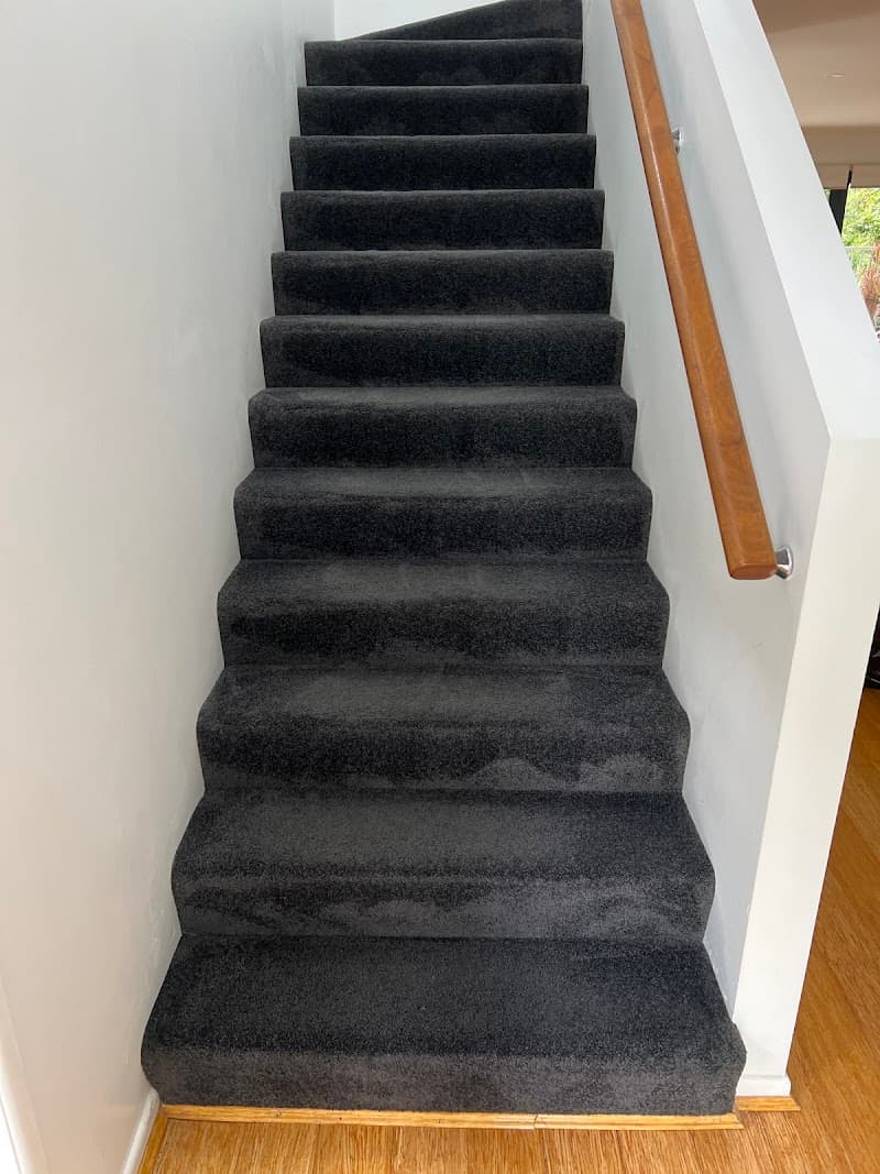 Dinnos Carpet Cleaning and Pest Control carpet cleaning work in null