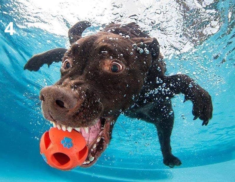 Direct Pool Supplies Manunda Cairns pool maintenance work in Manunda