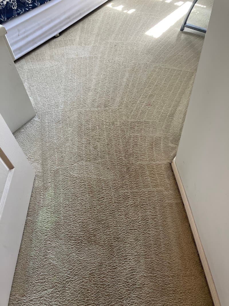 Dirty 2 Dazzling Carpet Cleaning and pest control carpet cleaning work in Flagstone Creek