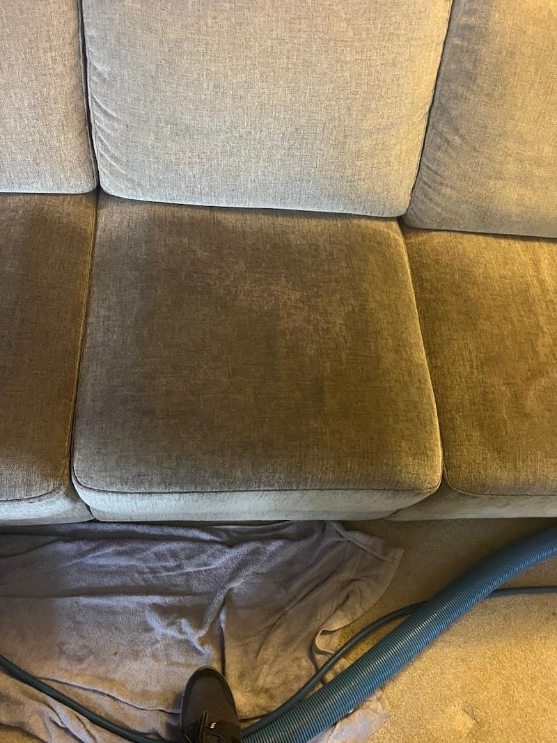 Dirty 2 Dazzling Carpet Cleaning and pest control carpet cleaning work in Flagstone Creek