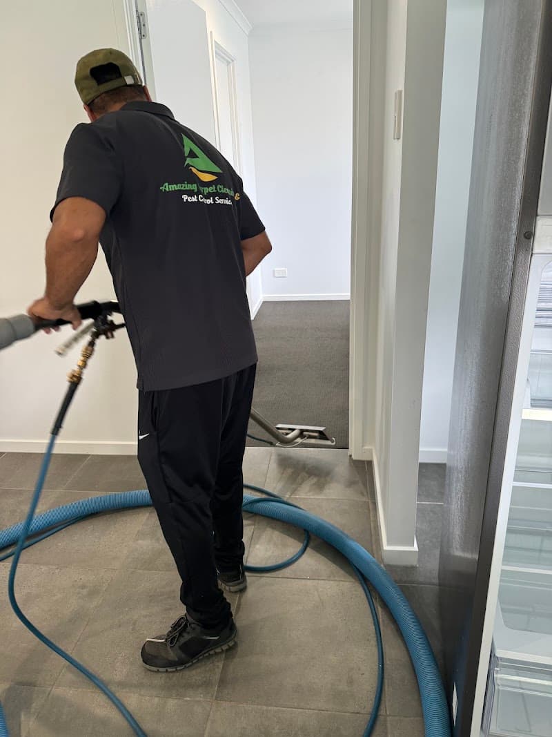 Dirty 2 Dazzling Carpet Cleaning and pest control carpet cleaning work in Flagstone Creek