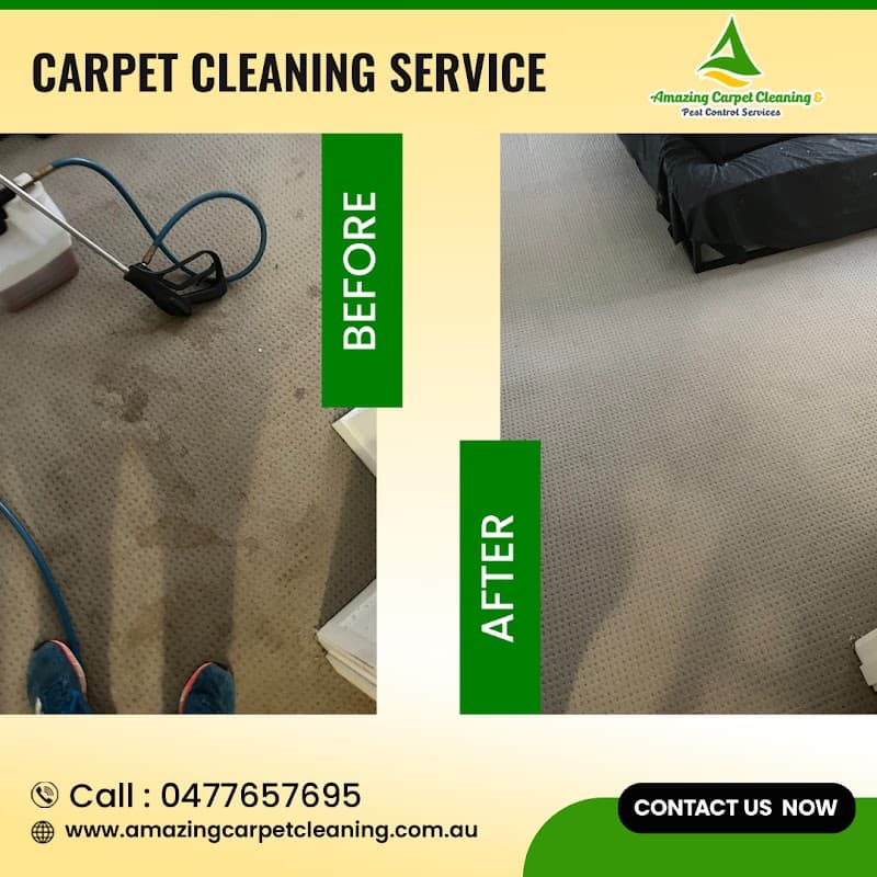 Dirty 2 Dazzling Carpet Cleaning and pest control carpet cleaning work in Flagstone Creek