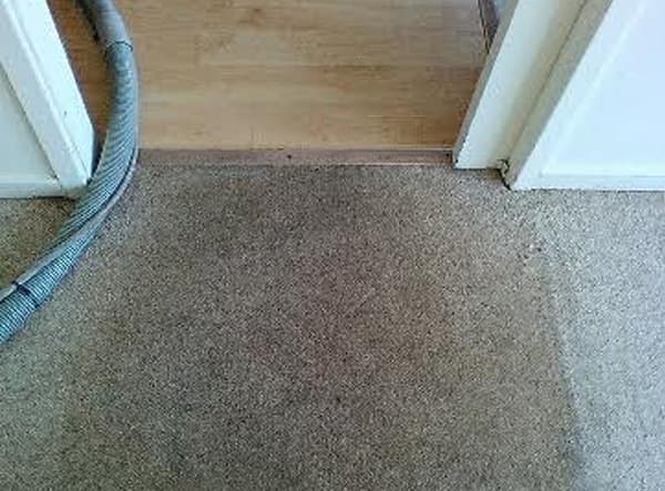 Discount Carpet Cleaning carpet cleaning work in The Entrance