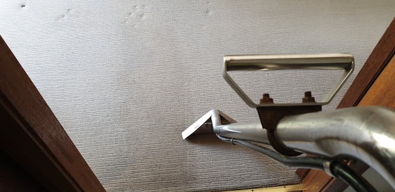 Discount Carpet Cleaning carpet cleaning work in The Entrance