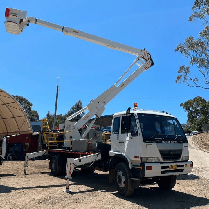 Dixons Trees tree services work in Springwood