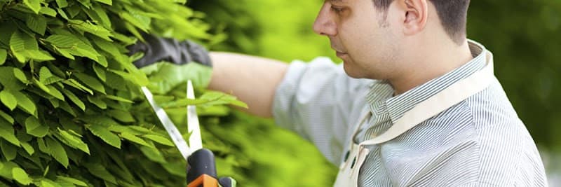 DJ Tree Services tree services work in Torrington
