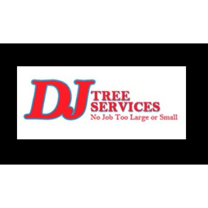 DJ Tree Services tree services work in Torrington