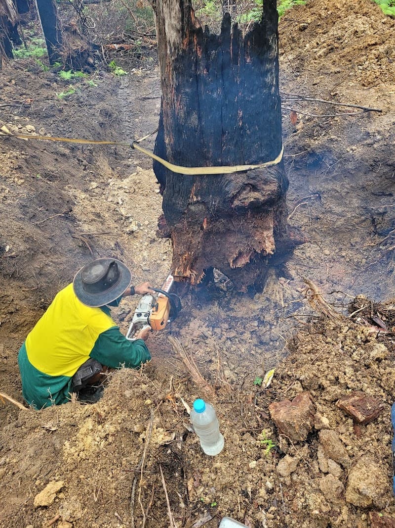 DM Mini Excavation & Landscaping landscaping work in Logan Central