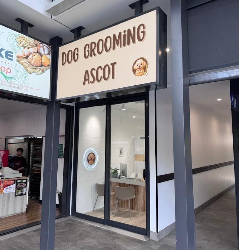 Dog Grooming Ascot dog grooming work in Ascot