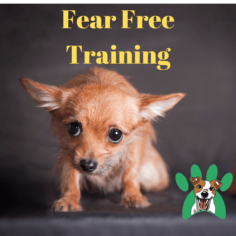 Dogtraining101 Retail Dog Super Store and Training dog training work in Lawnton
