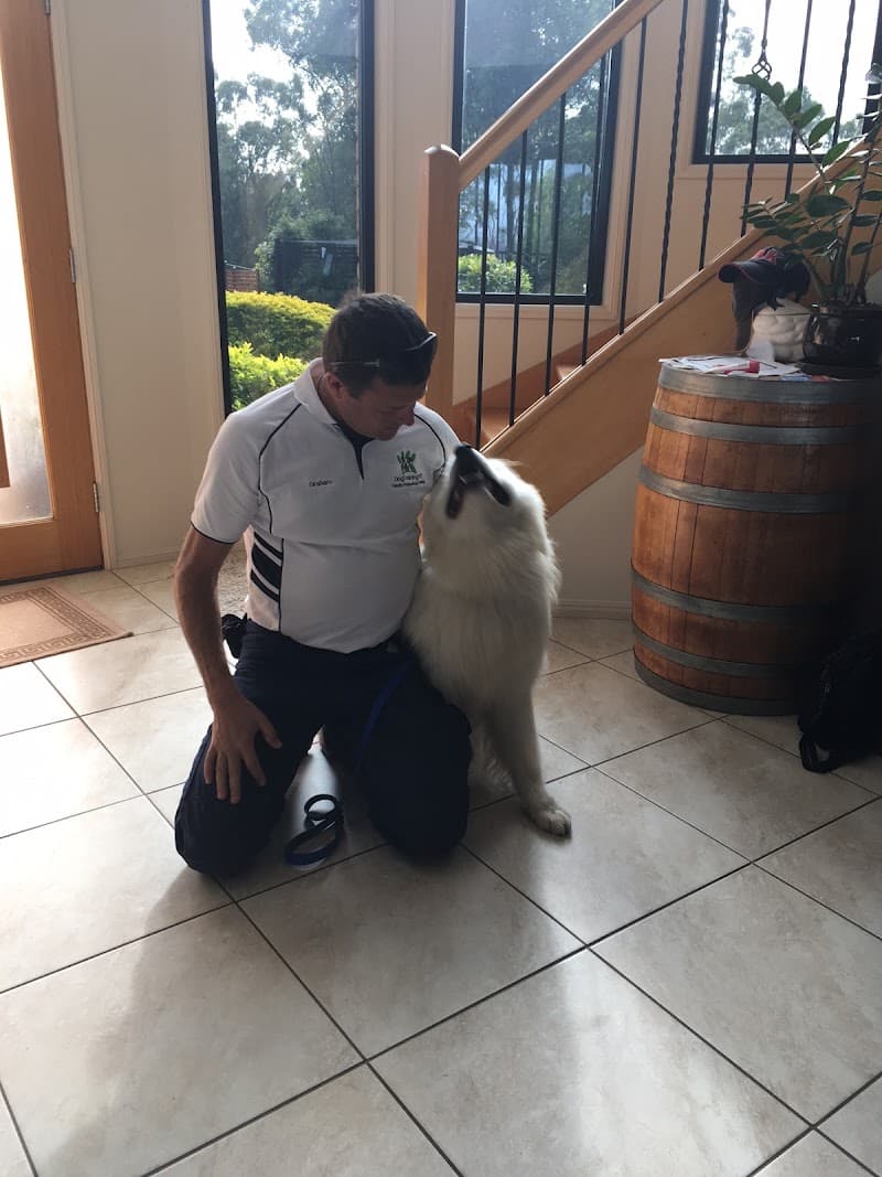 Dogtraining101 Retail Dog Super Store and Training dog training work in Lawnton